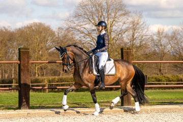 Exceptional 15.1 hh Advanced Medium Dressage Mare 🏆