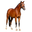 JL HORSES logo