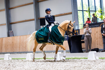 Safe & Experienced Dressage Pony with FEI Potential
