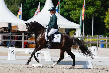 Champion-Level Dressage Pony - Reliable, Talented & Beautiful