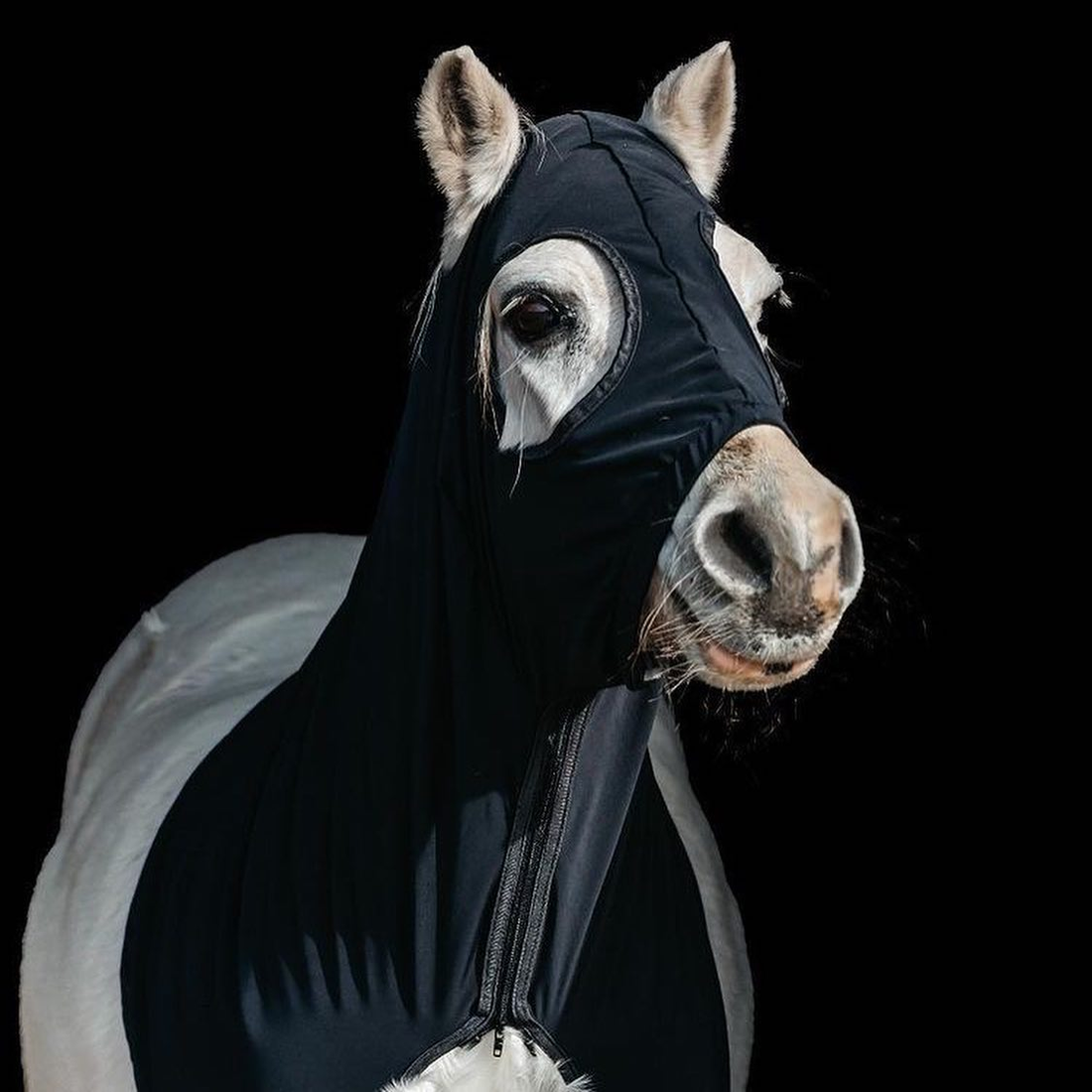 JLH Horse Hood